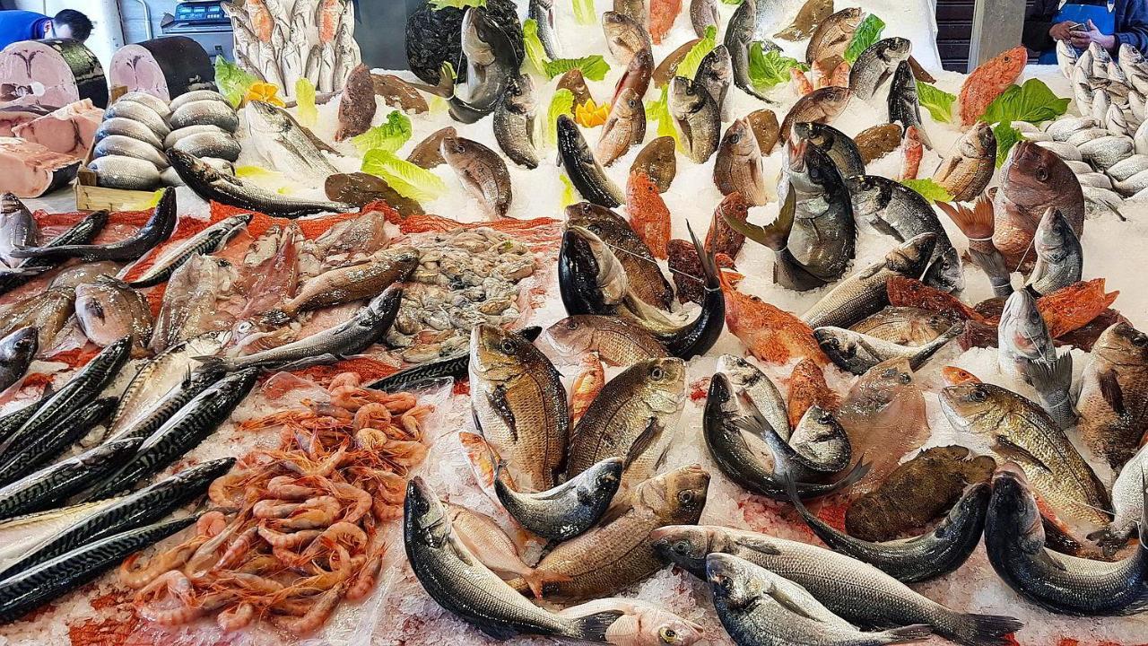 巴勒莫 Casa Vacanze Francesca酒店 外观 照片